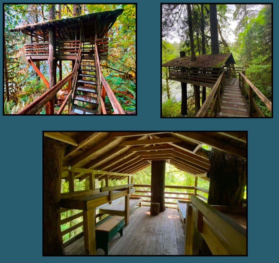 Namanu Open-Air Cabins & Treehouses